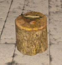 A Small eating stump