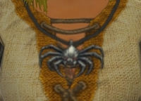 A Arachnid necklace