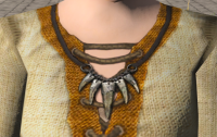 A Fang necklace
