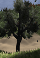 Thumbnail for version as of 00:53, 17 October 2019