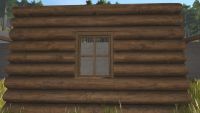 A Log window