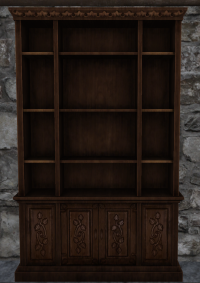A Empty high bookshelf